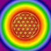 Blume des Lebens Magnet, rainbow, Motiv 1