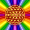 Blume des Lebens Magnet, rainbow, Motiv 3