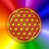 Blume des Lebens Magnet, rainbow, Motiv 5