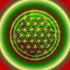 Blume des Lebens Magnet, rot-grün, Motiv 1