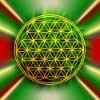 Blume des Lebens Magnet, rot-grün, Motiv 2